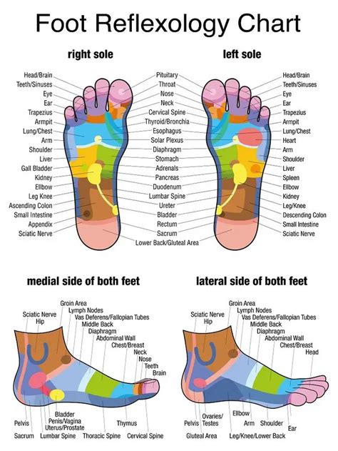 reflexology chart of feet|More.